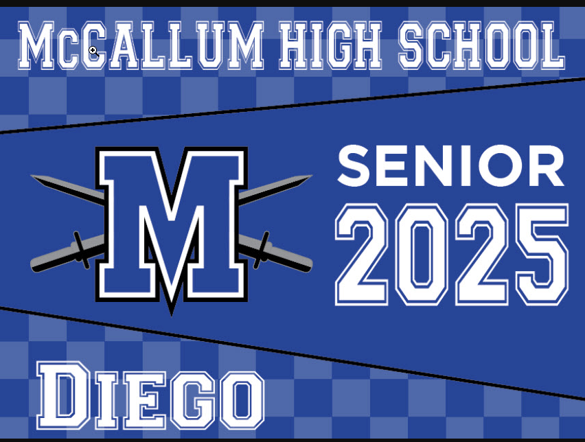 Personalized Yard Senior Yard Sign Example